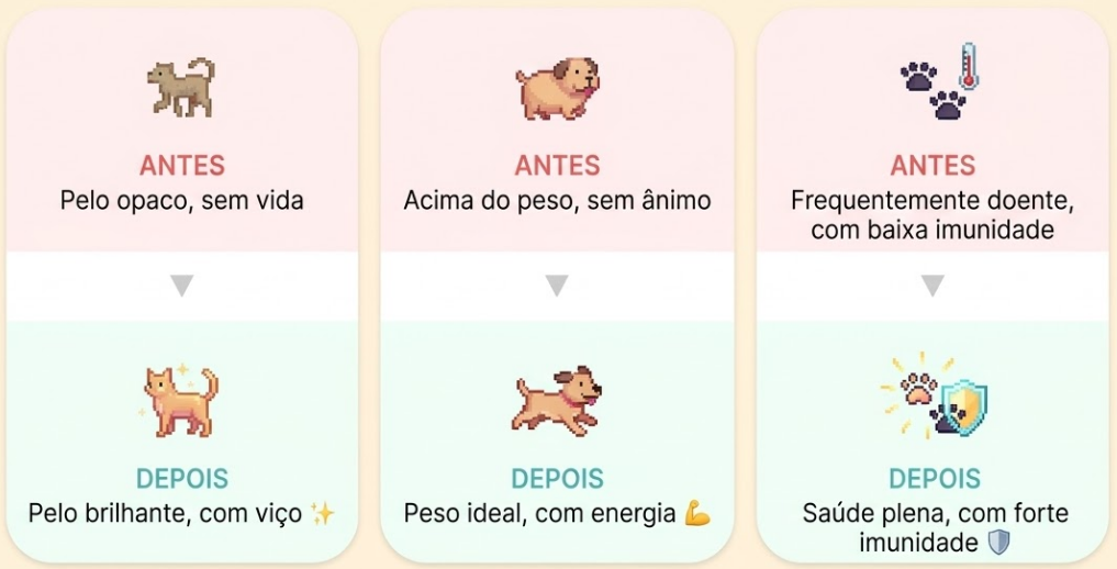 Antes e depois da alimentação natural para cães